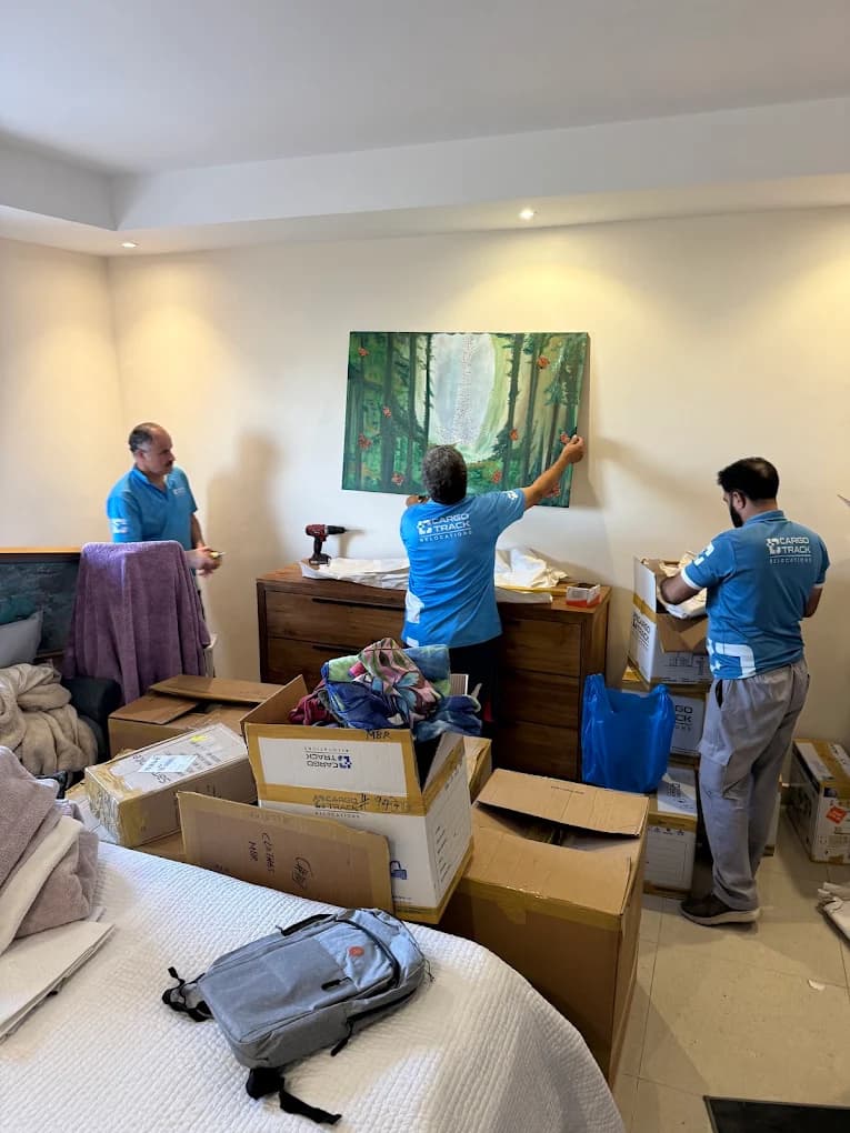 Artwork Packing and Handling Service - CargoTrack Services